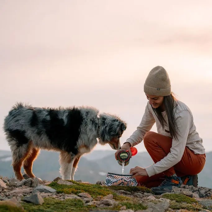 🐶2-in-1 Reversible Dog Bandana Bowl, Lightweight Spill-Proof TPU Travel Feeding Bowl for All Dogs Outdoor Hiking Camping💧