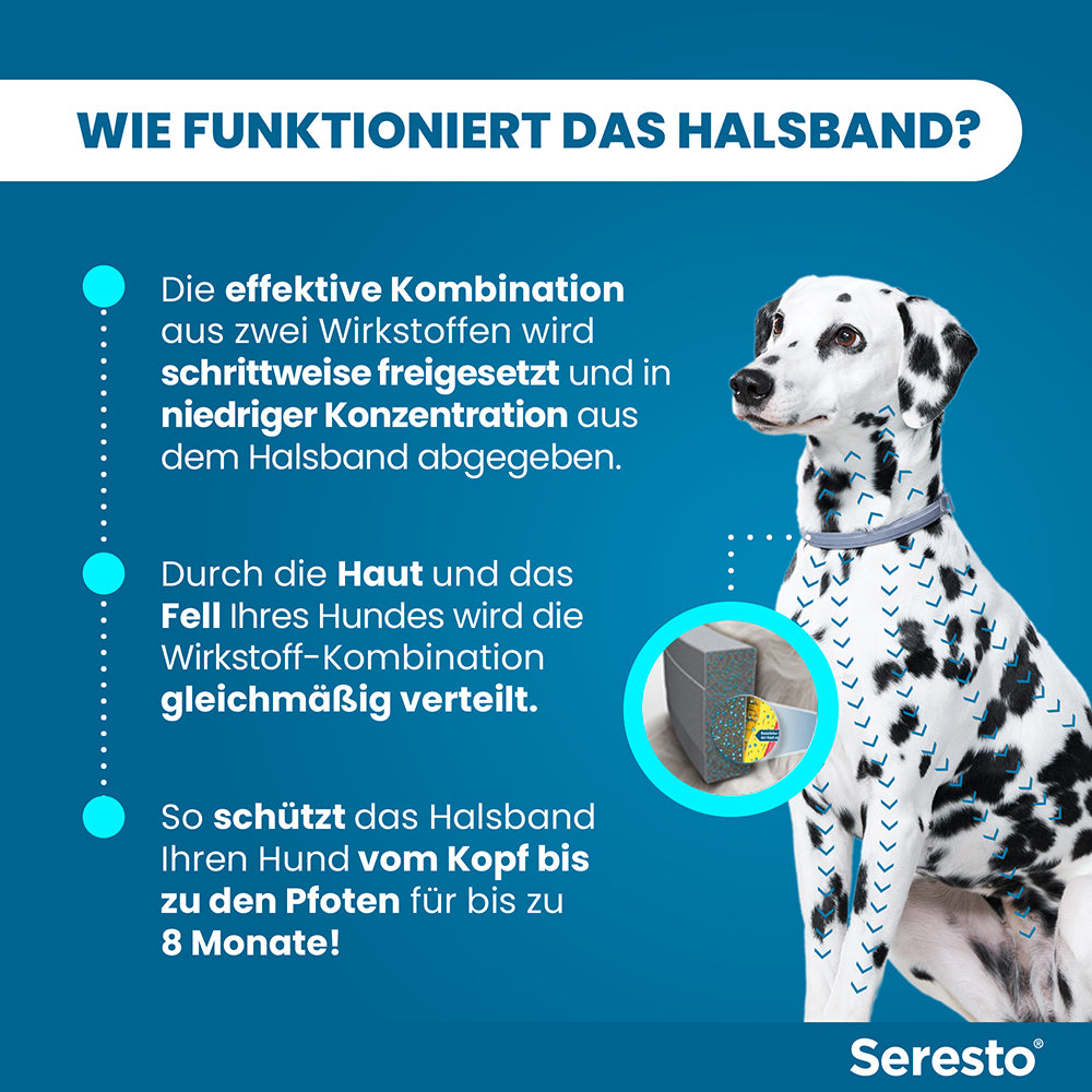 Seresto Halsband für große Hunde | ab 8 kg