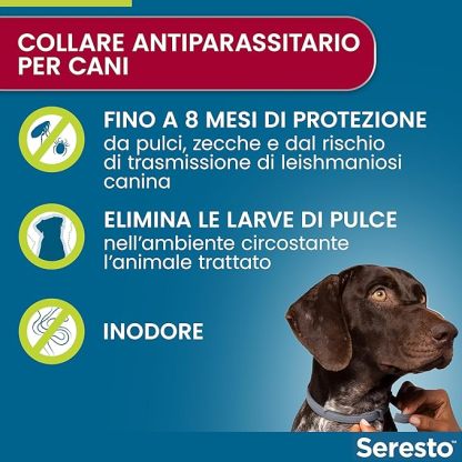 SerestoCollare  Antiparassitario per Cani | 8 Mesi di Protezione