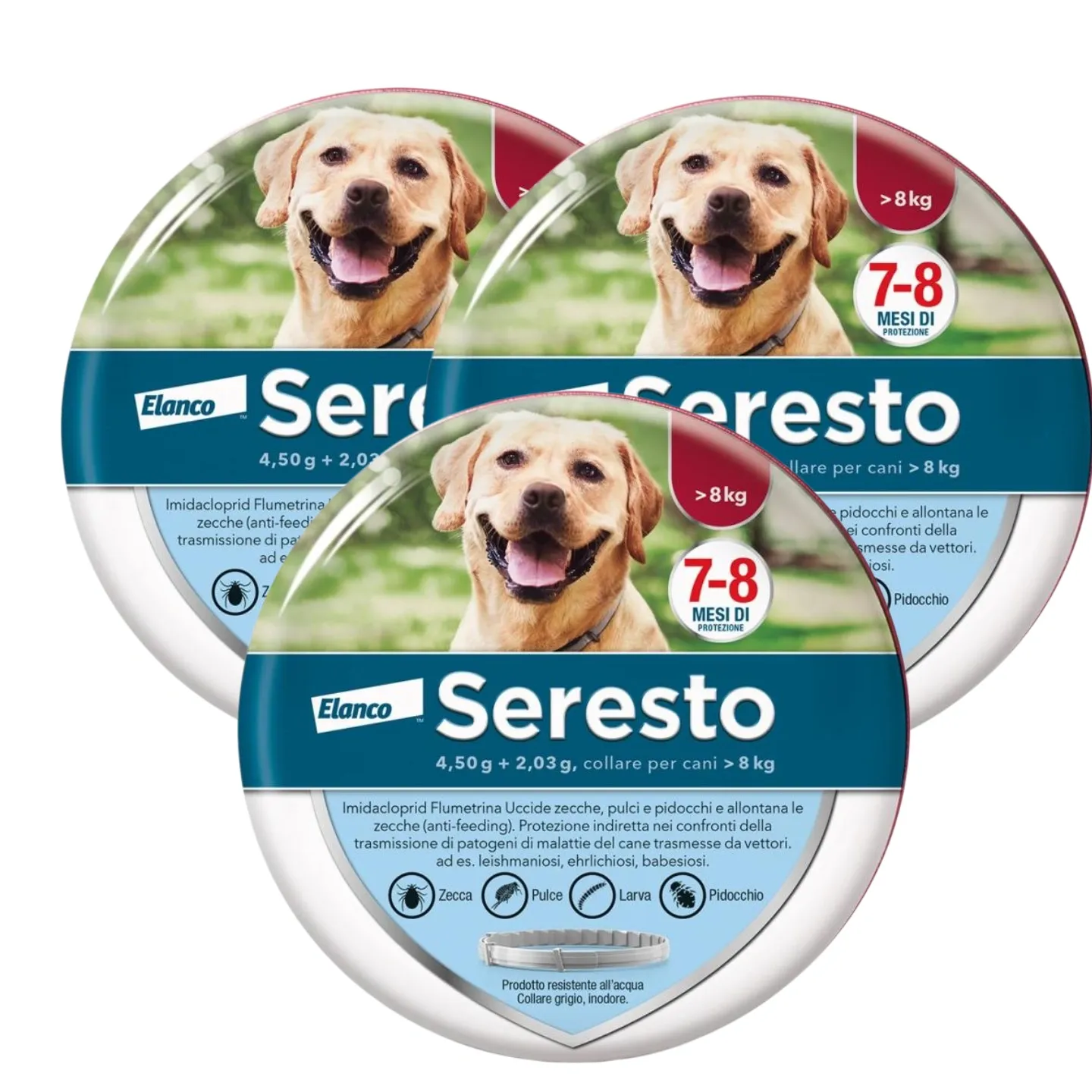 Collare  Antiparassitario per Cani | 8 Mesi di Protezione