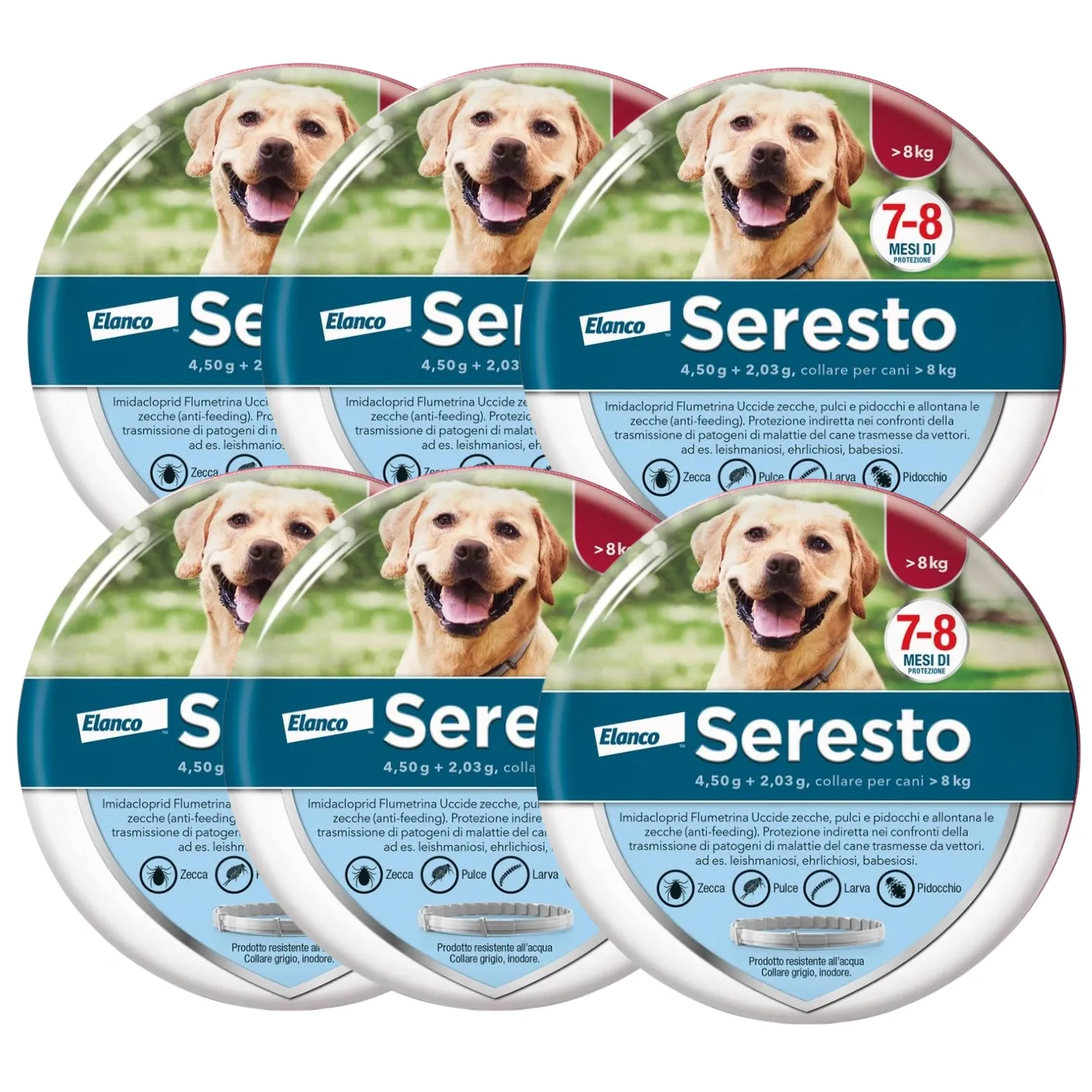 Collare  Antiparassitario per Cani | 8 Mesi di Protezione