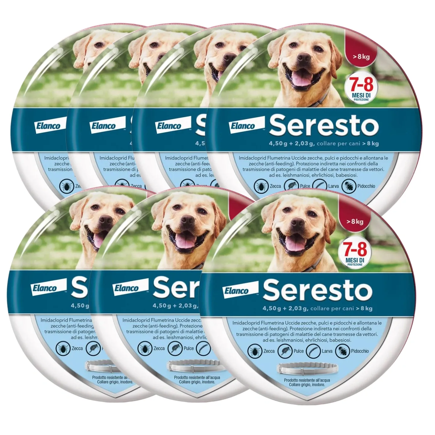 Collare  Antiparassitario per Cani | 8 Mesi di Protezione