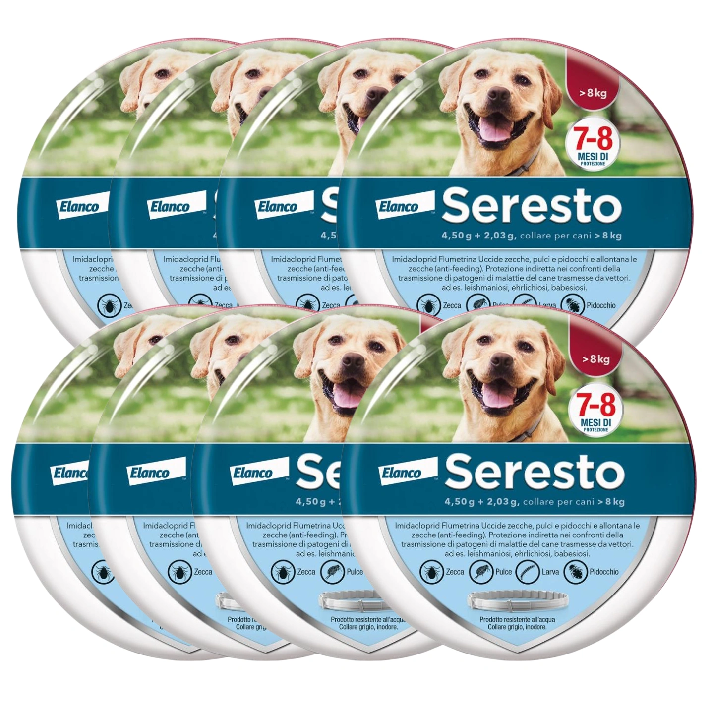 Collare  Antiparassitario per Cani | 8 Mesi di Protezione