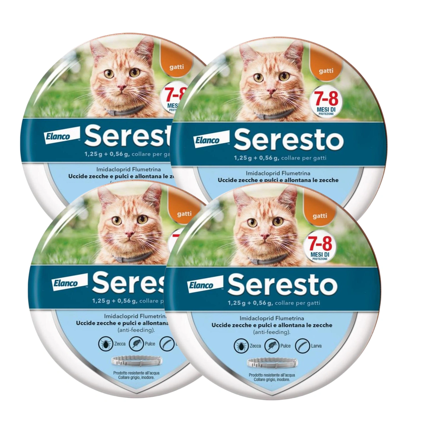 SerestoCollare Antiparassitario per Gatti |8 Mesi di Protezione
