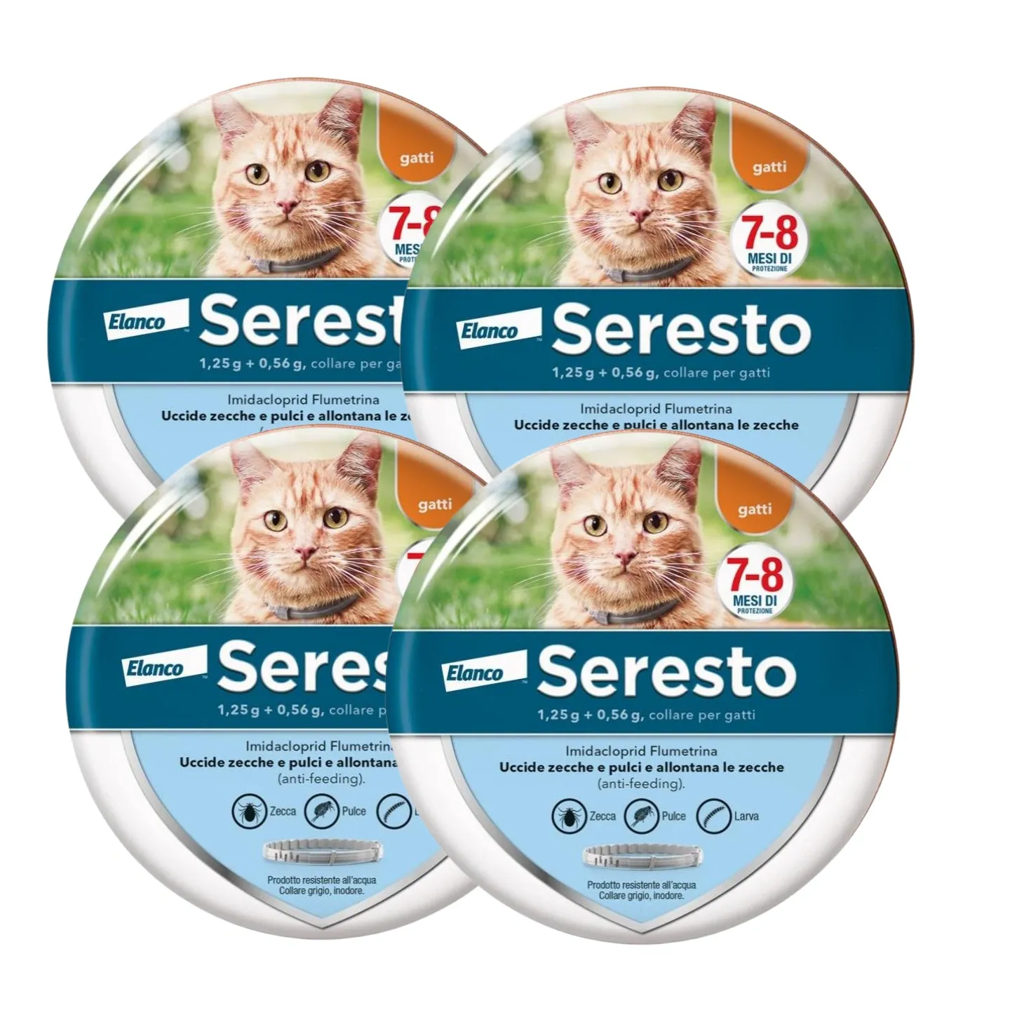 SerestoCollare Antiparassitario per Gatti |8 Mesi di Protezione
