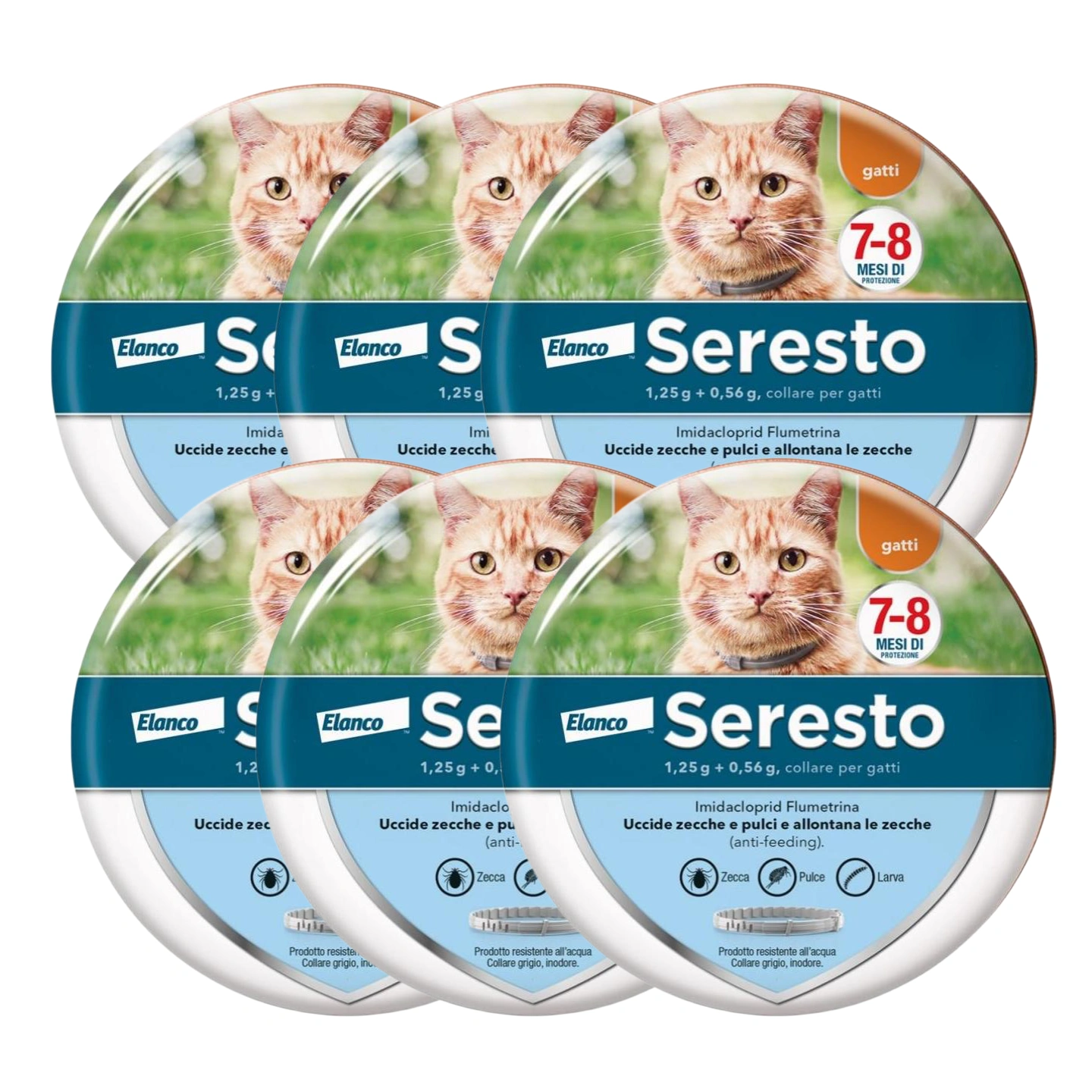 SerestoCollare Antiparassitario per Gatti |8 Mesi di Protezione