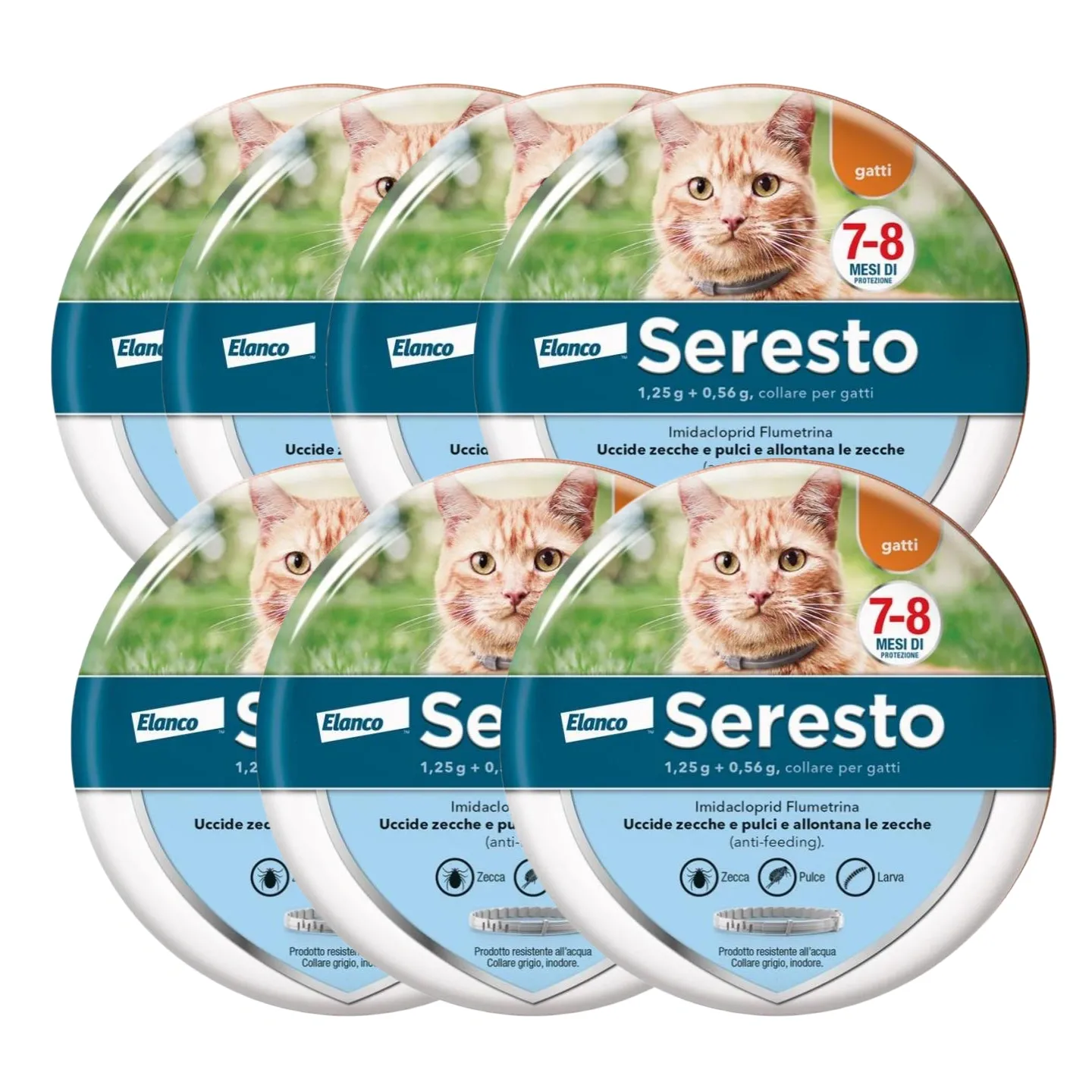 SerestoCollare Antiparassitario per Gatti |8 Mesi di Protezione
