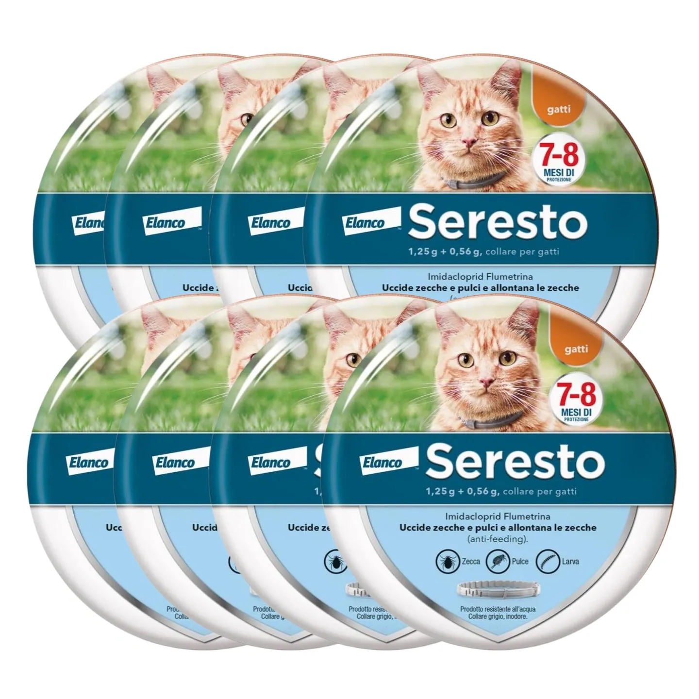SerestoCollare Antiparassitario per Gatti |8 Mesi di Protezione