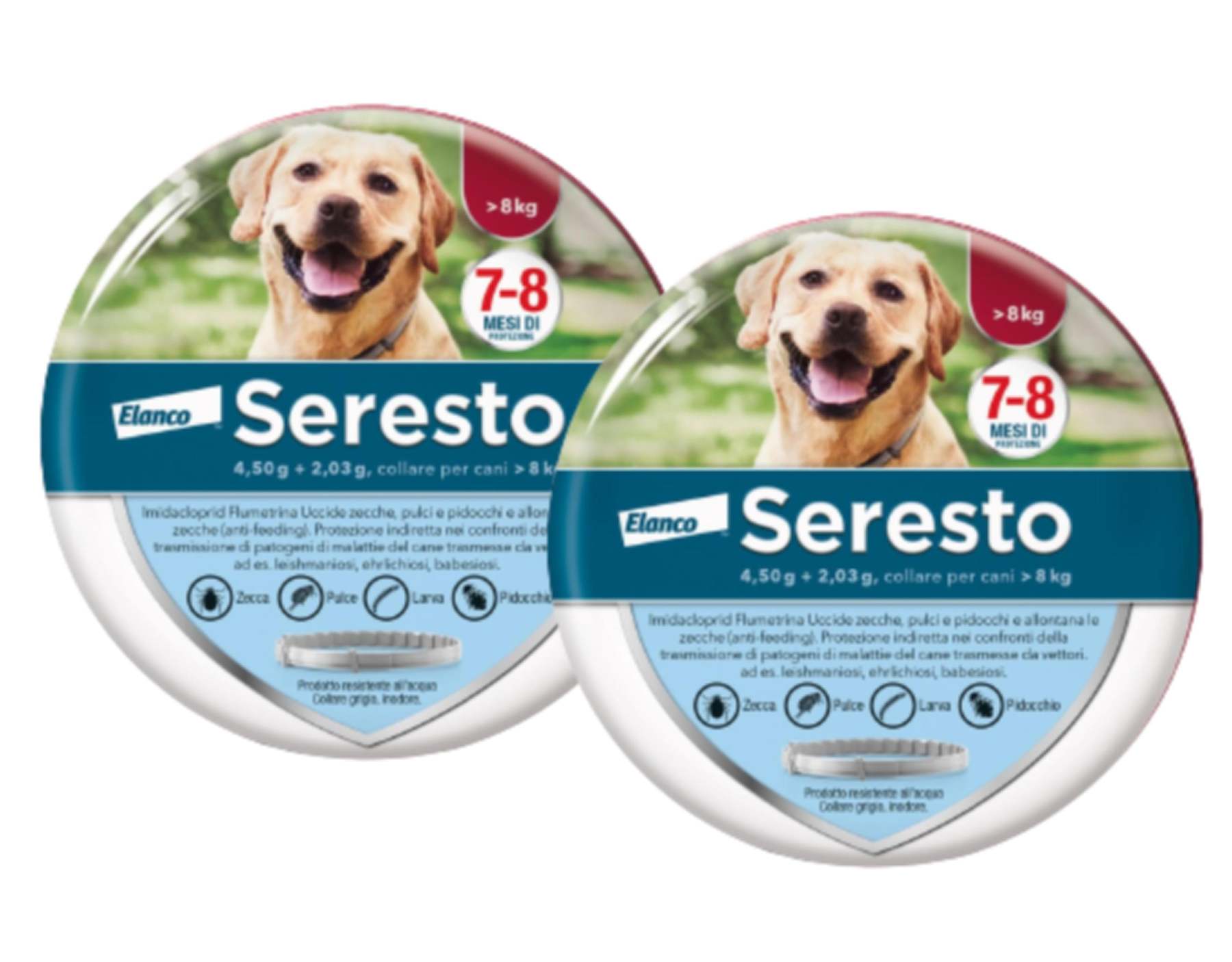 Bayer Elanco Collare Antiparassitario per Cani | 8 Mesi di Protezione