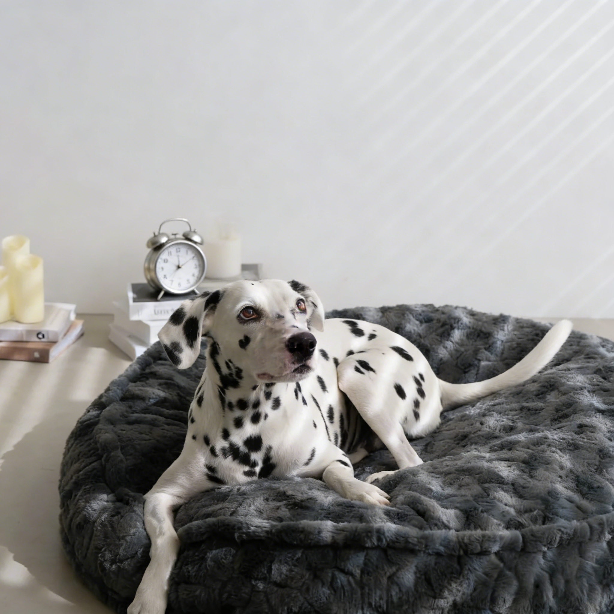 Prof-Vet Cloud Bed – La Cuccia Invernale che Abbraccia il Tuo Cane. Sfoderabile e Termica.