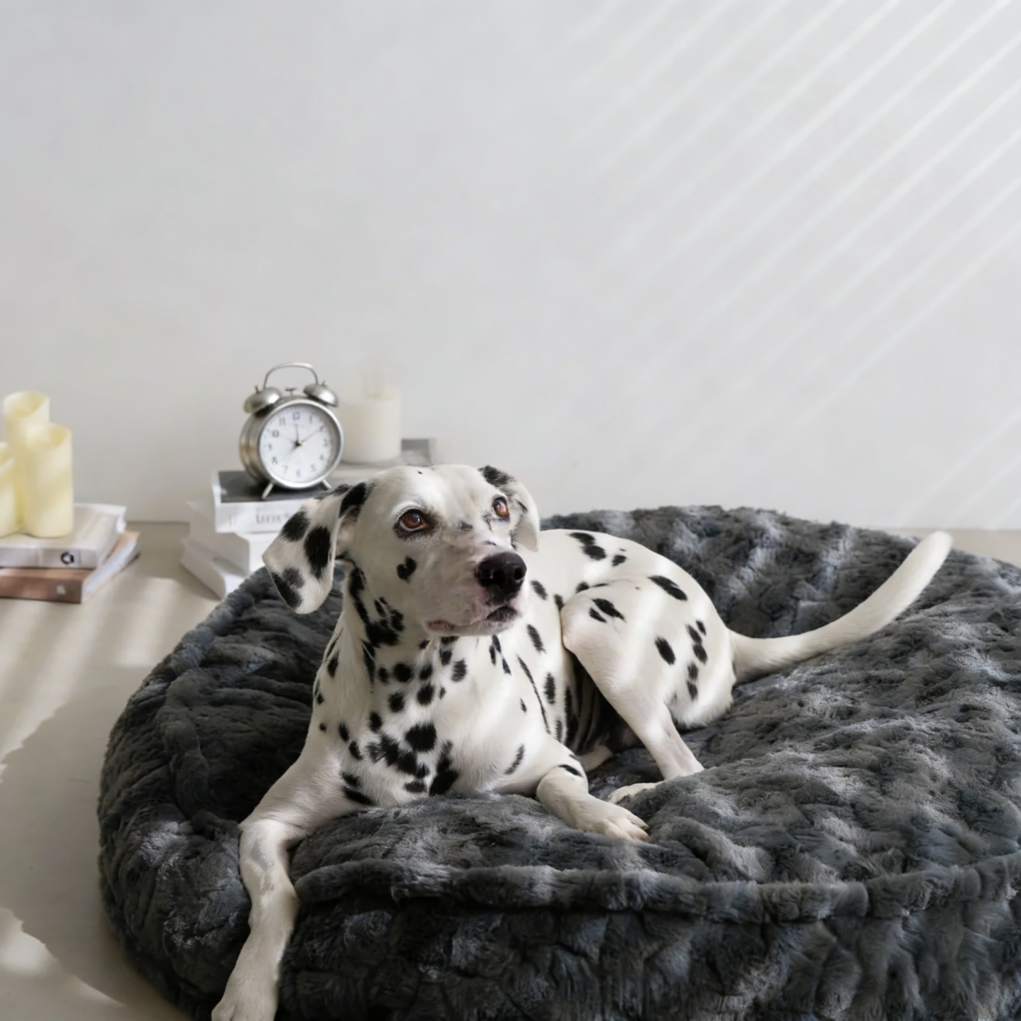 Prof-Vet Cloud Bed – La Cuccia Invernale che Abbraccia il Tuo Cane. Sfoderabile e Termica.