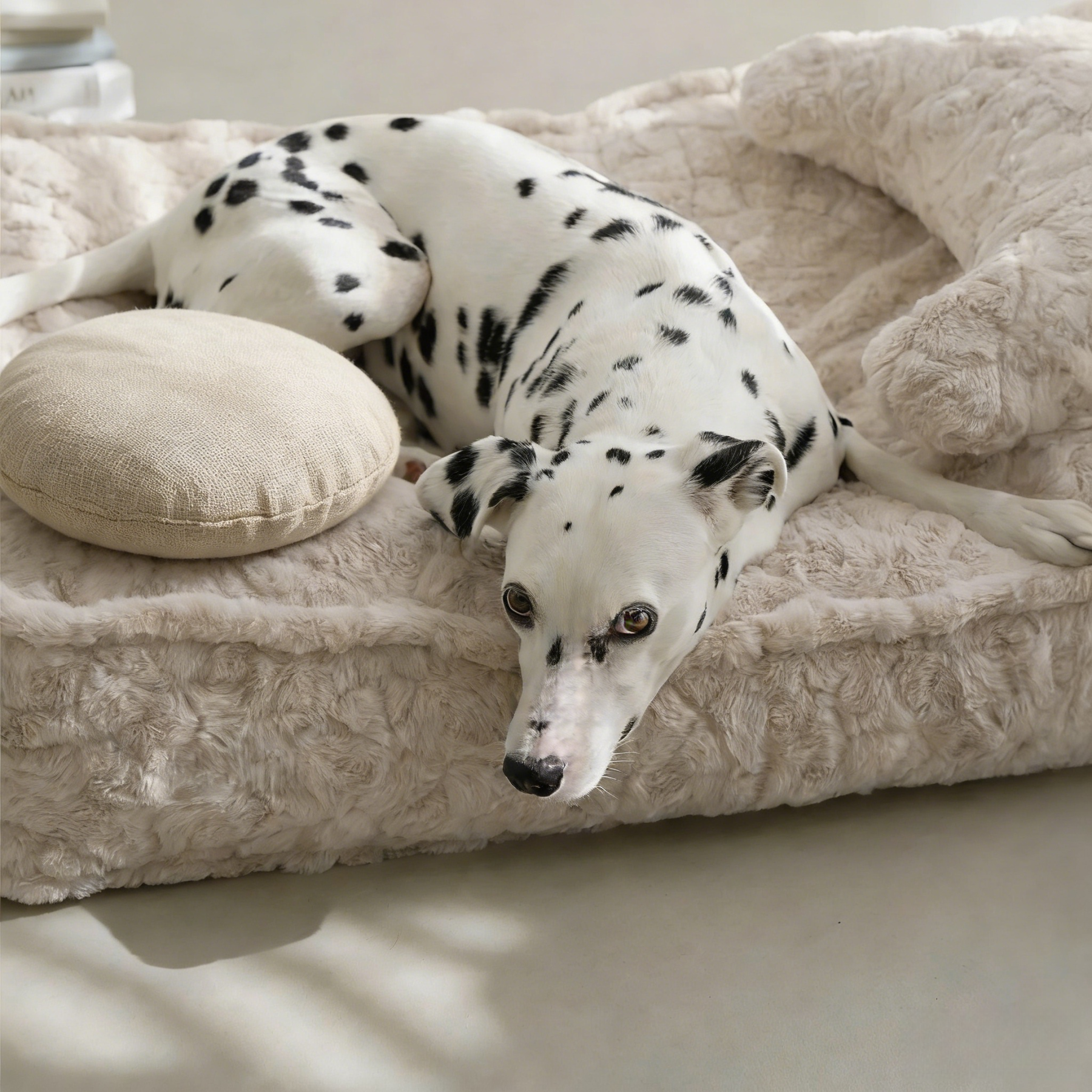 Prof-Vet Cloud Bed – La Cuccia Invernale che Abbraccia il Tuo Cane. Sfoderabile e Termica.