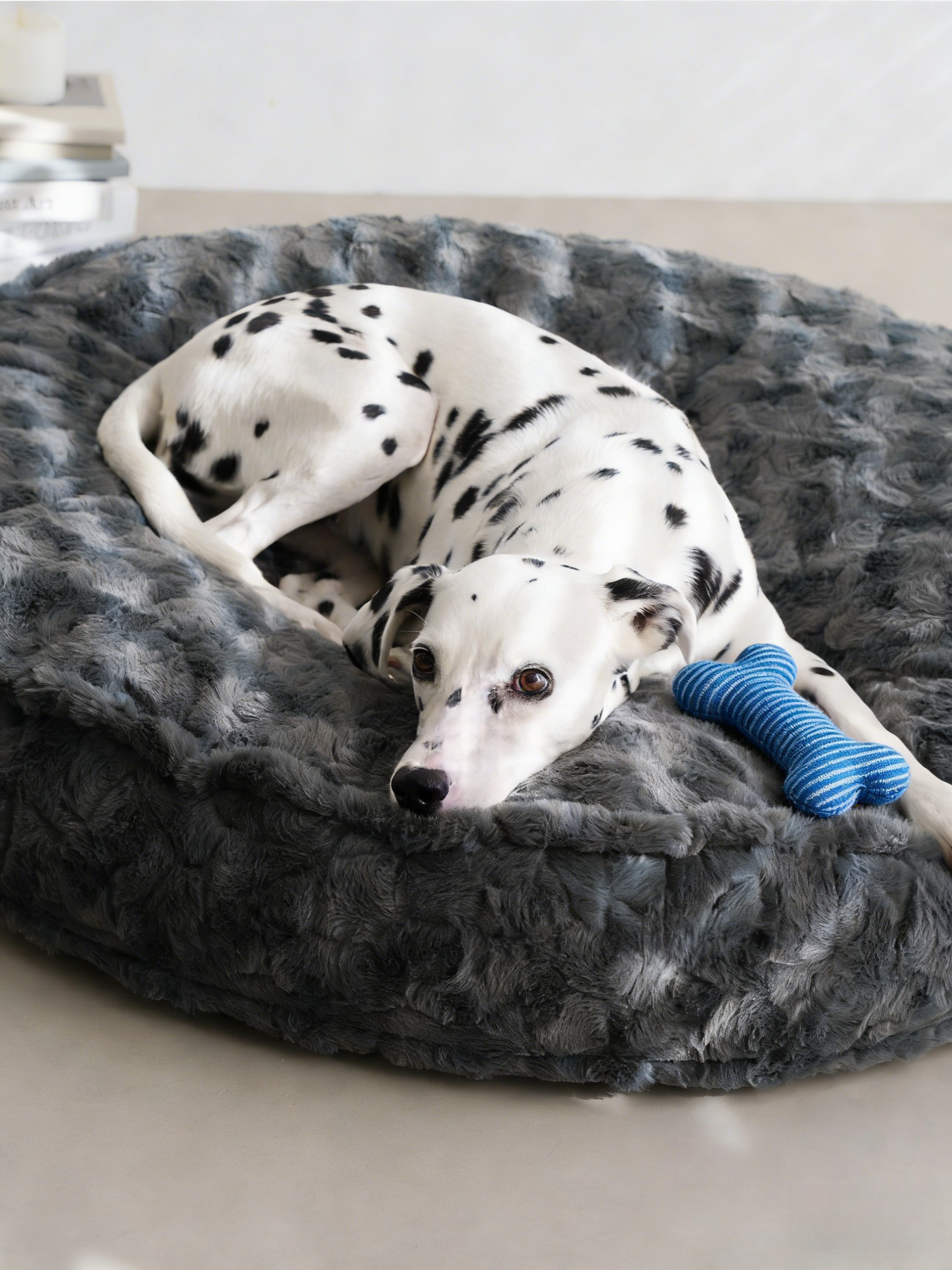 Prof-Vet Cloud Bed – La Cuccia Invernale che Abbraccia il Tuo Cane. Sfoderabile e Termica.