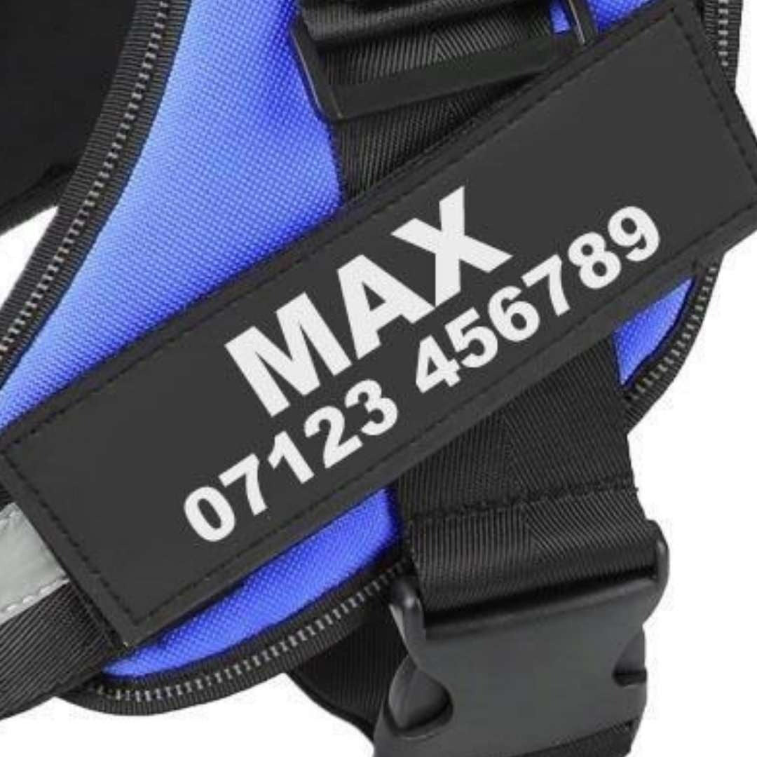  Prof-Vet Toppe Personalizzate per Pettorina Cane (2 Pezzi) con Nome e Numero di Telefono