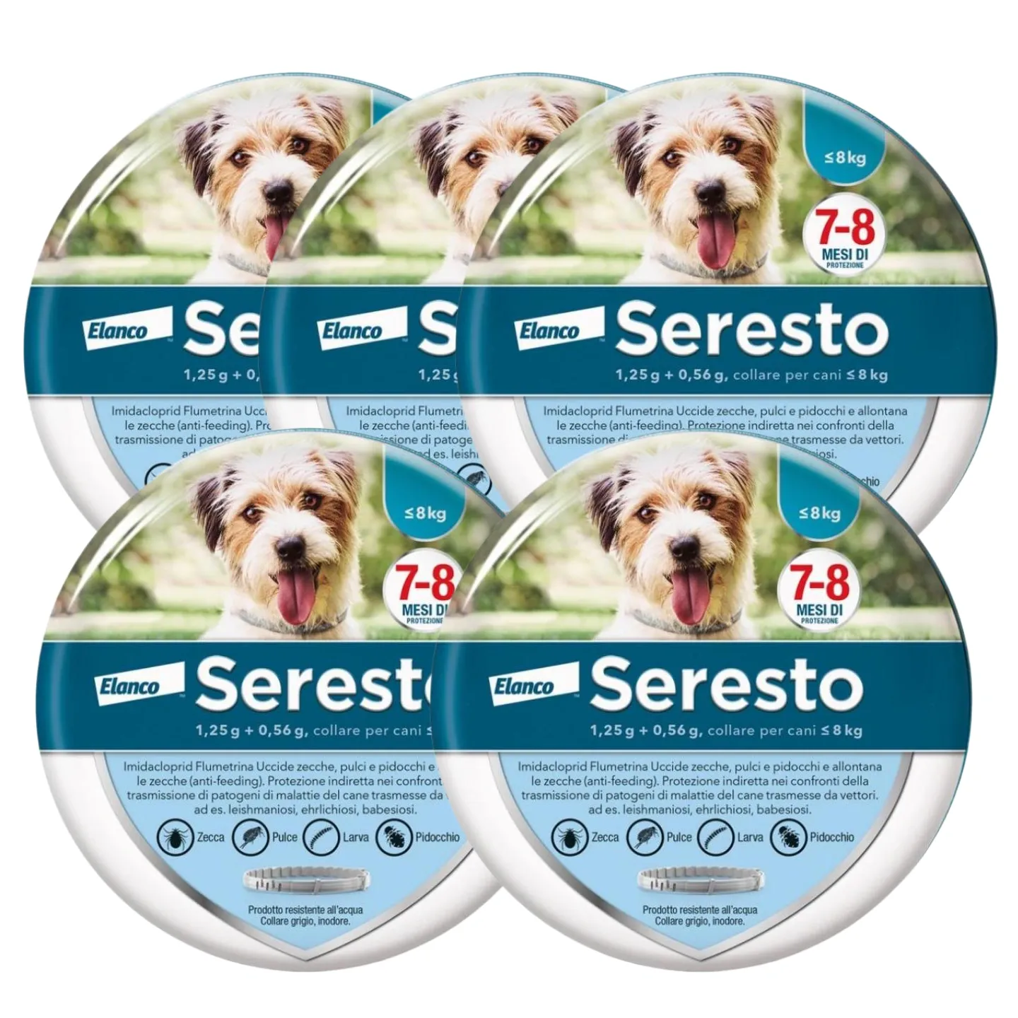 Collare  Antiparassitario per Cani | 8 Mesi di Protezione