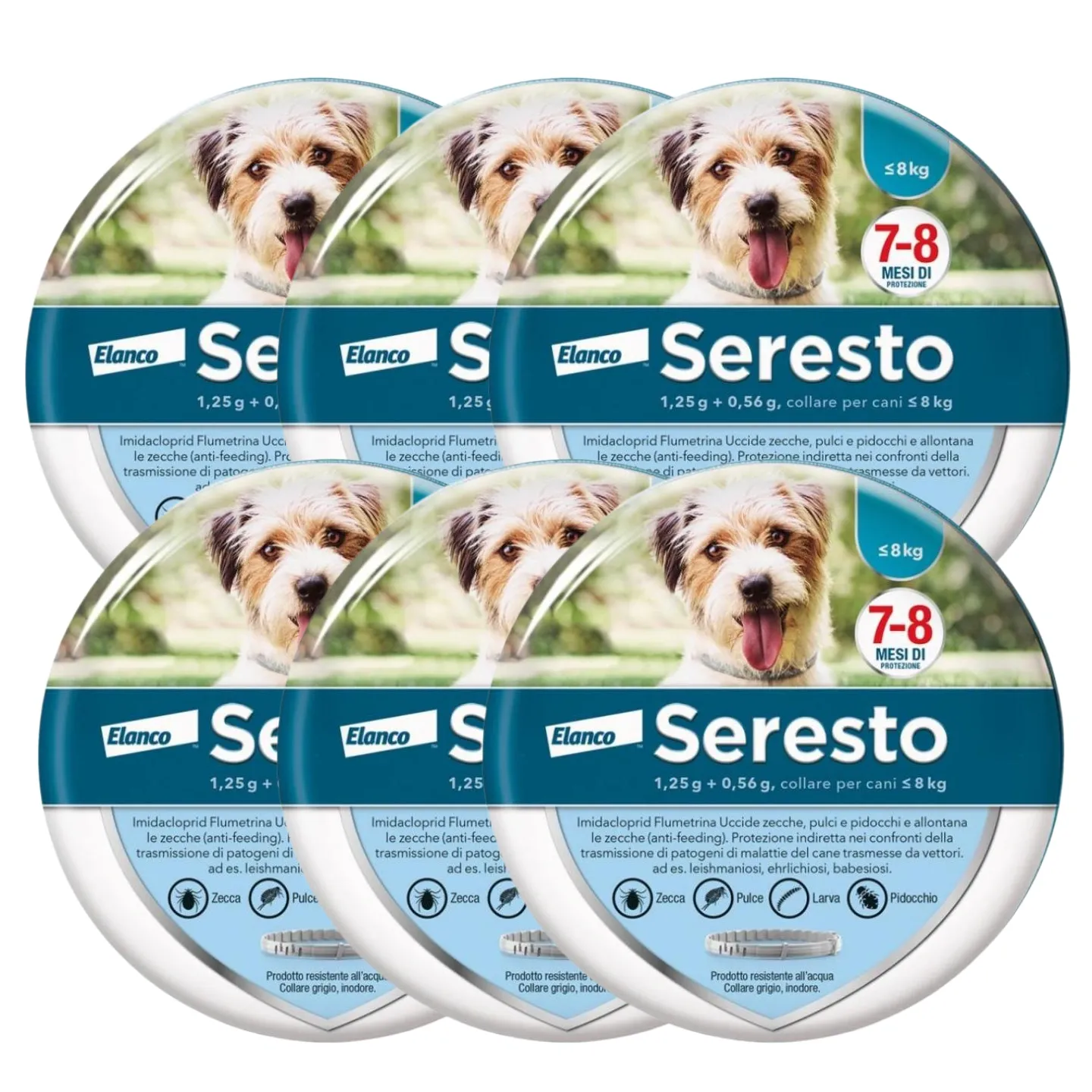 Collare  Antiparassitario per Cani | 8 Mesi di Protezione