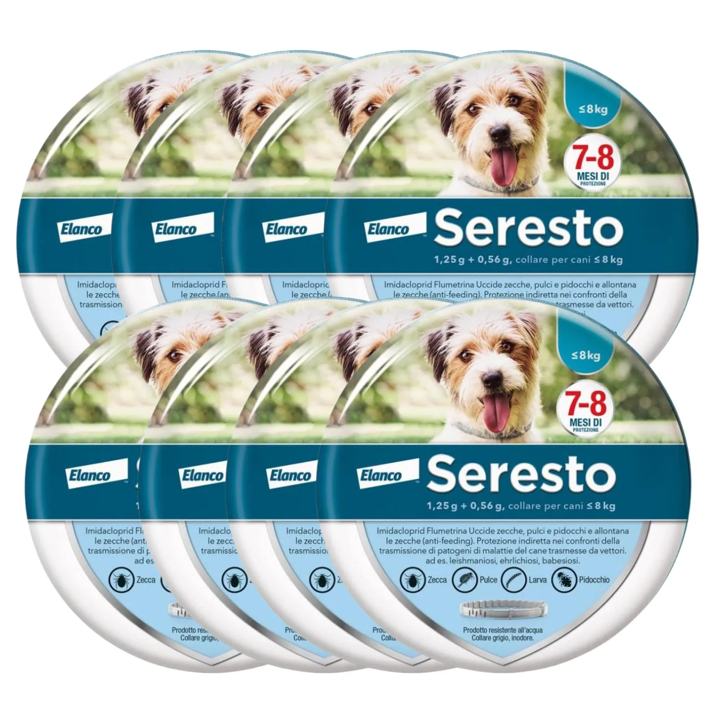 Collare  Antiparassitario per Cani | 8 Mesi di Protezione