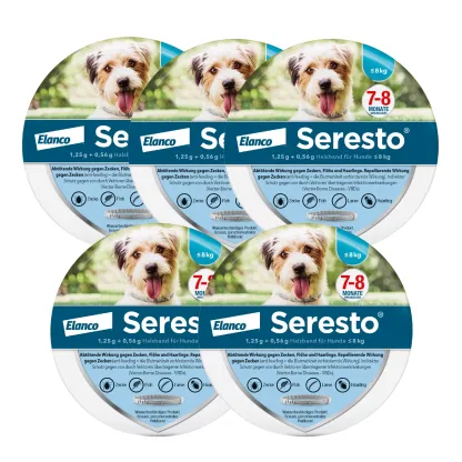 SerestoHalsband für kleine Hunde | bis 8 kg