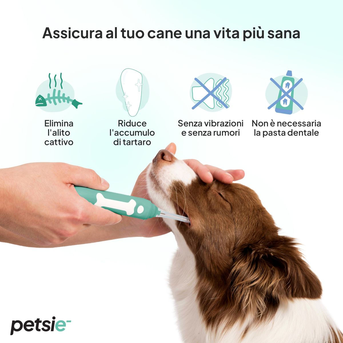 Petsie Spazzolino Elettrico per Cane