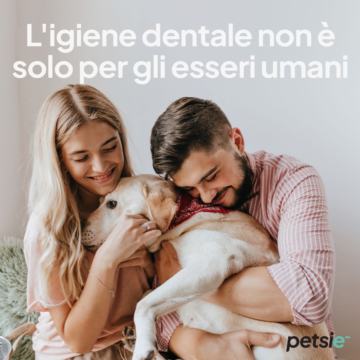 Petsie Spazzolino Elettrico per Cane