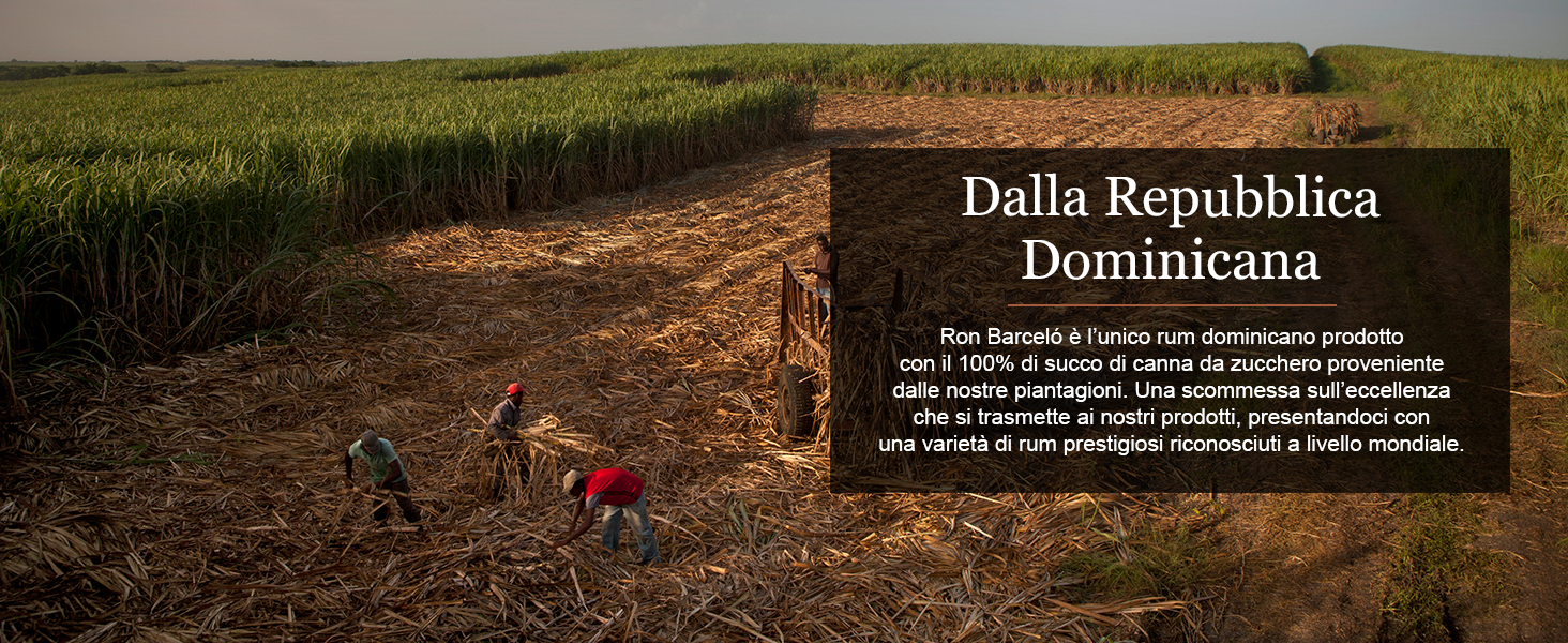 Rum della Repubblica Dominicana