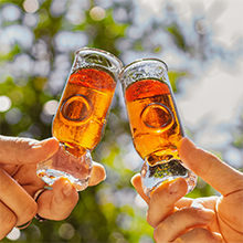 vecchio amaro del capo colore