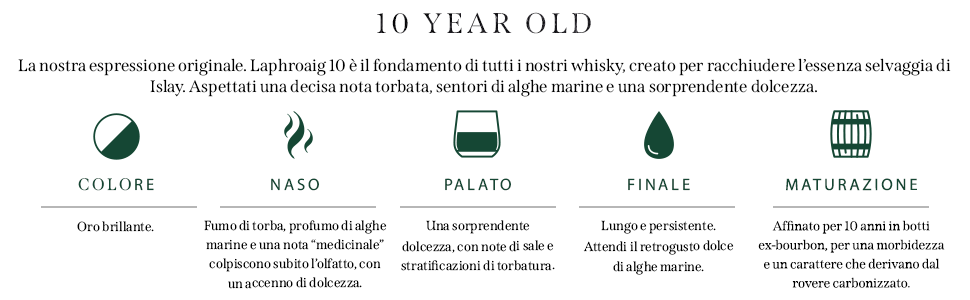 Il testo recita &laquo;10 YEAR OLD&raquo; seguito da un'infografica sulla timeline che mostra icone circolari verdi con etichette di testo per diverse fasi o traguardi.