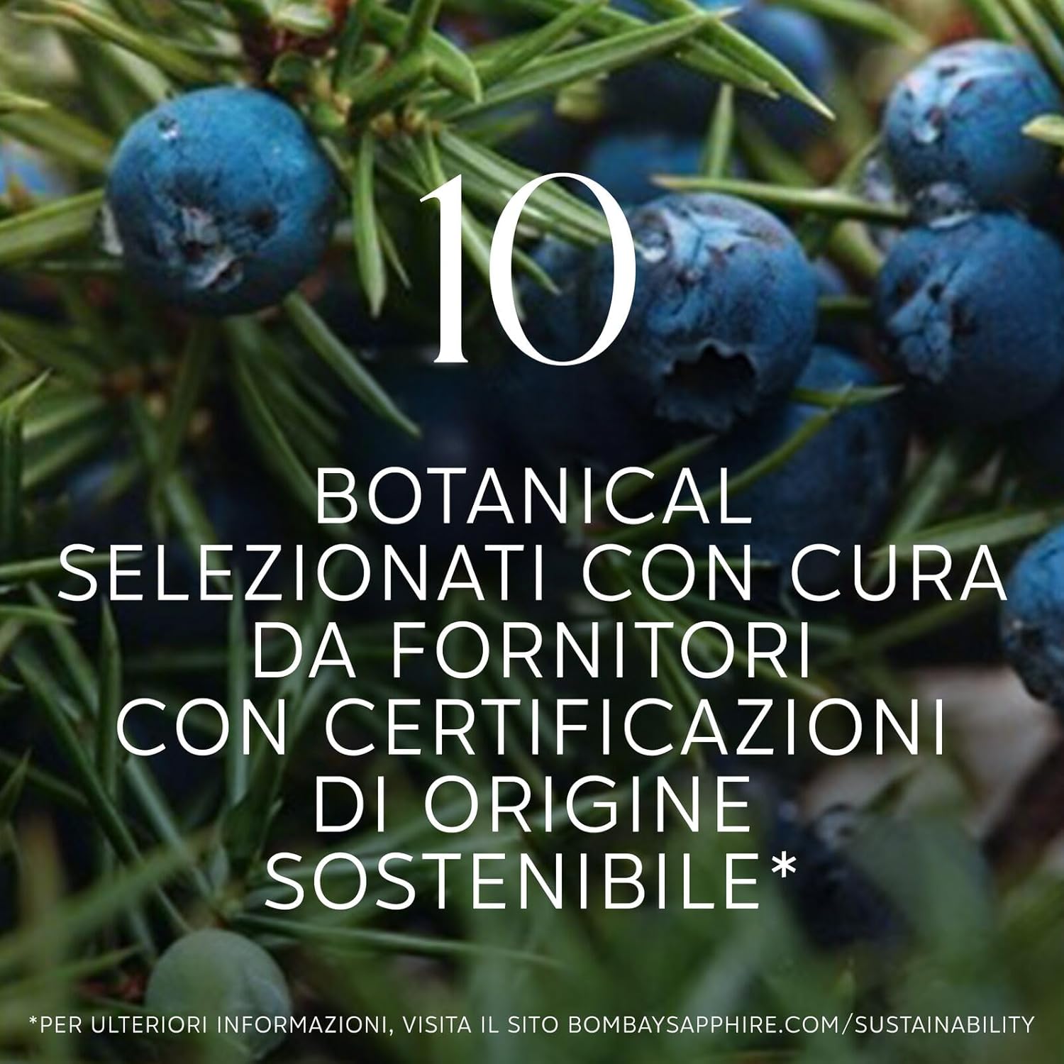 Bombay Sapphire London Dry Gin, 40% Vol., 100cl / 1L, 100% Steam Infused Gin with 10 Carefully Selected Botanical