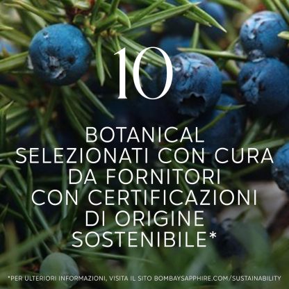 Bombay Sapphire London Dry Gin, 40% Vol., 100cl / 1L, 100% Steam Infused Gin with 10 Carefully Selected Botanical