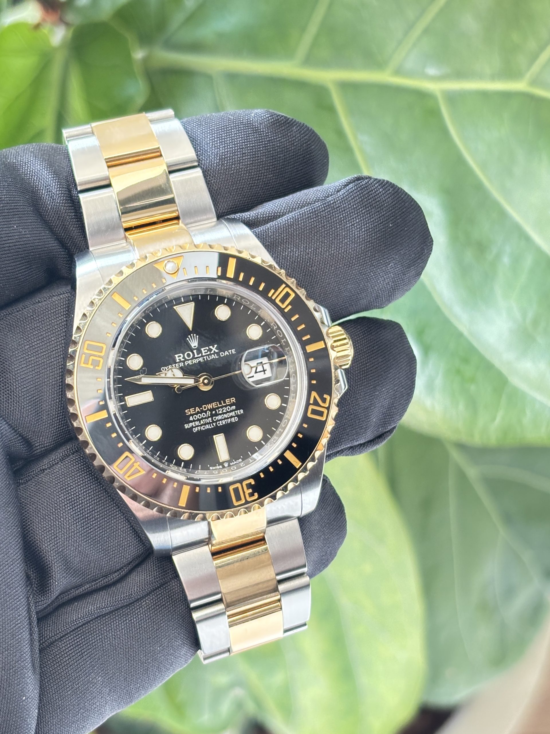 Sea-Dweller - Men's Watch