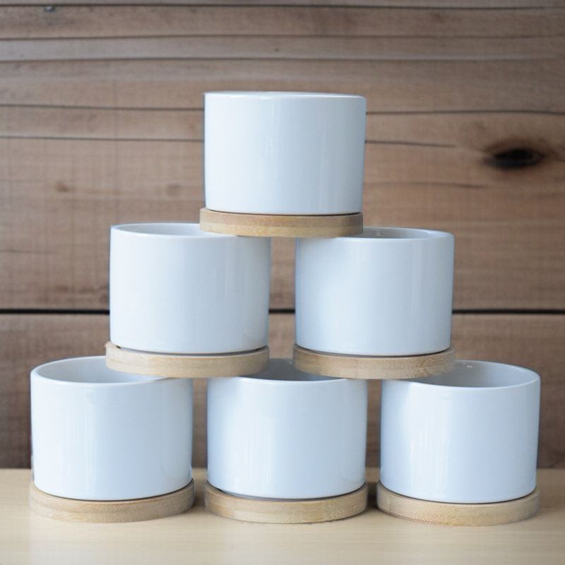 Decorative Ceramic Plant Pot Versatile Pot for Succulents Perfect for Pet and Garden Enthusiasts