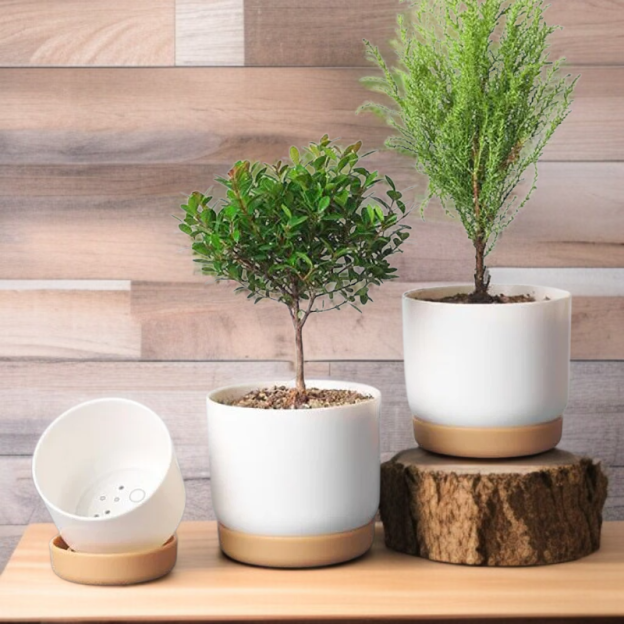 Decorative Ceramic Plant Pot Versatile Pot for Succulents Perfect for Pet and Garden Enthusiasts