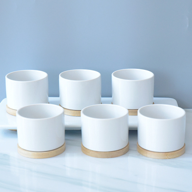 Decorative Ceramic Plant Pot Versatile Pot for Succulents Perfect for Pet and Garden Enthusiasts