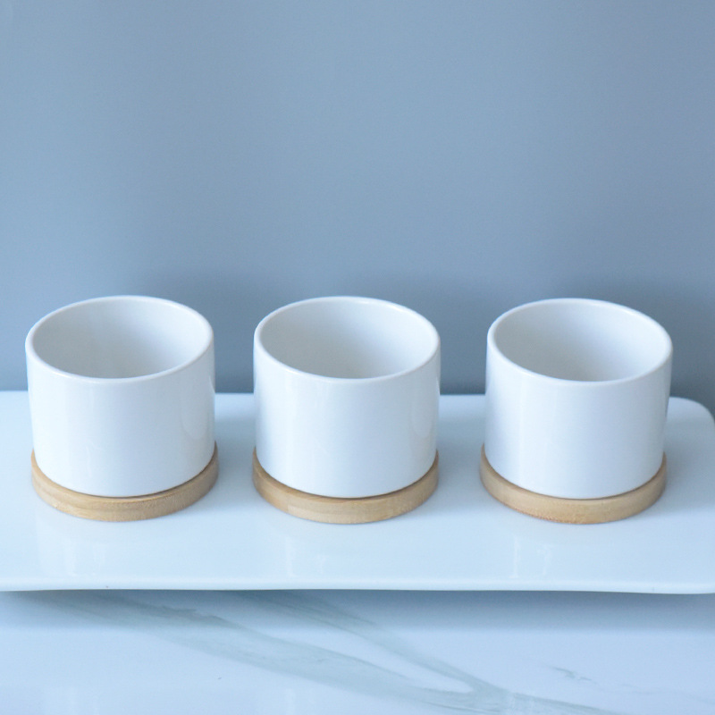 Decorative Ceramic Plant Pot Versatile Pot for Succulents Perfect for Pet and Garden Enthusiasts