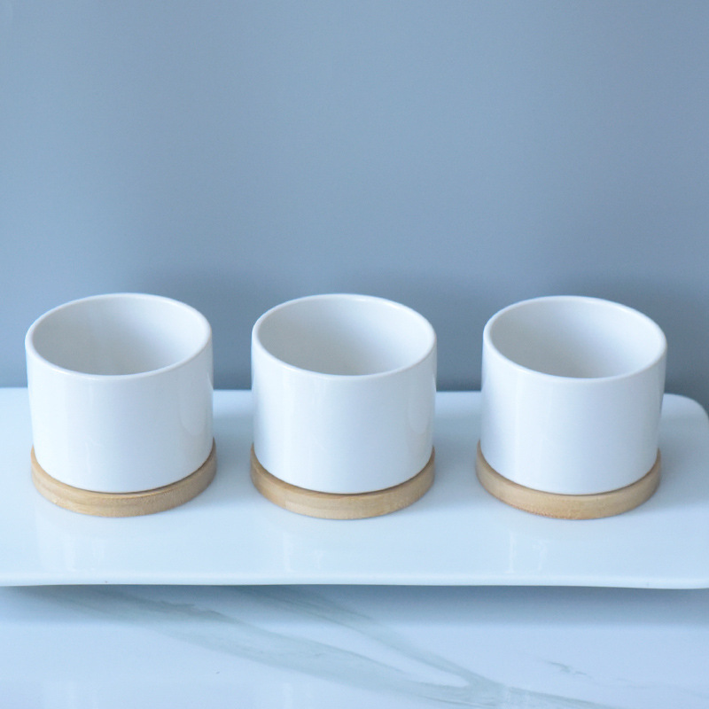 Decorative Ceramic Plant Pot Versatile Pot for Succulents Perfect for Pet and Garden Enthusiasts