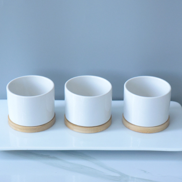 Decorative Ceramic Plant Pot Versatile Pot for Succulents Perfect for Pet and Garden Enthusiasts