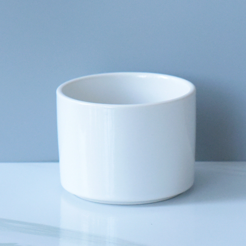 Decorative Ceramic Plant Pot Versatile Pot for Succulents Perfect for Pet and Garden Enthusiasts