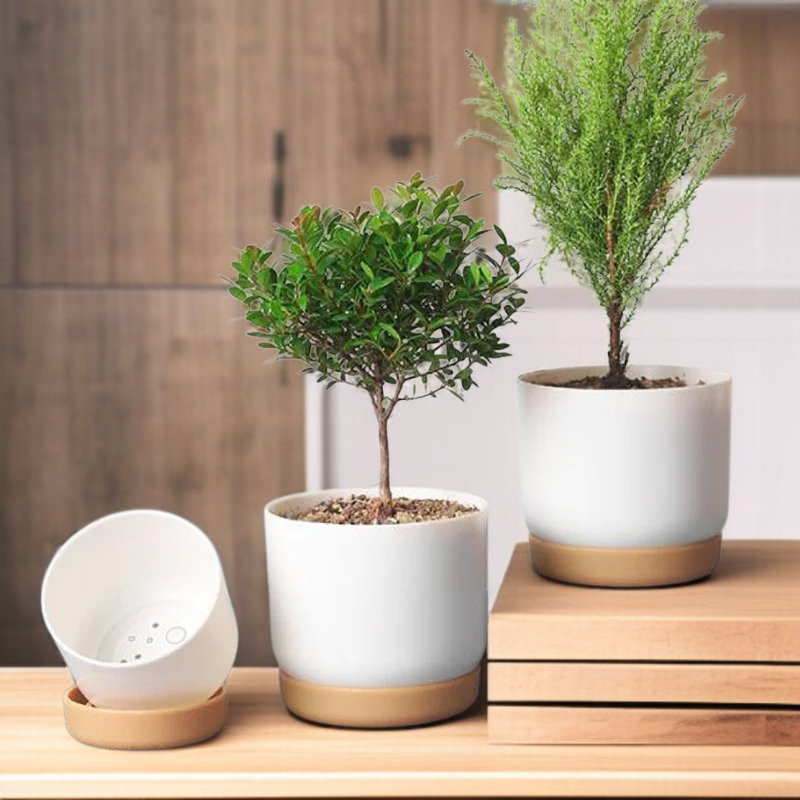 Decorative Ceramic Plant Pot Versatile Pot for Succulents Perfect for Pet and Garden Enthusiasts