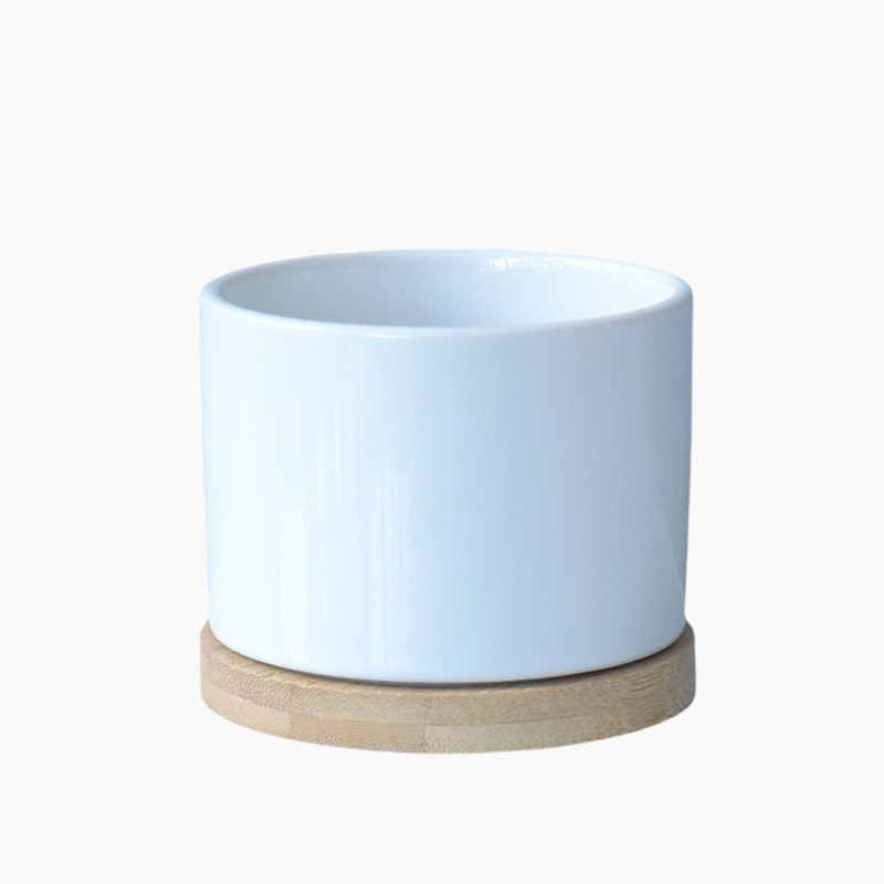 Decorative Ceramic Plant Pot Versatile Pot for Succulents Perfect for Pet and Garden Enthusiasts