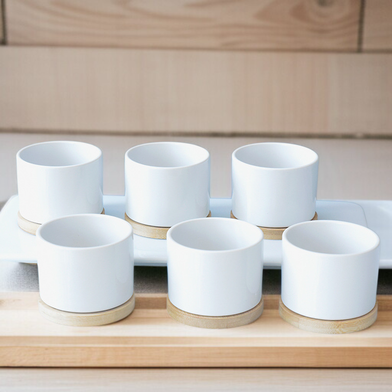 Decorative Ceramic Plant Pot Versatile Pot for Succulents Perfect for Pet and Garden Enthusiasts