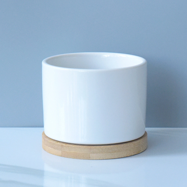 Decorative Ceramic Plant Pot Versatile Pot for Succulents Perfect for Pet and Garden Enthusiasts