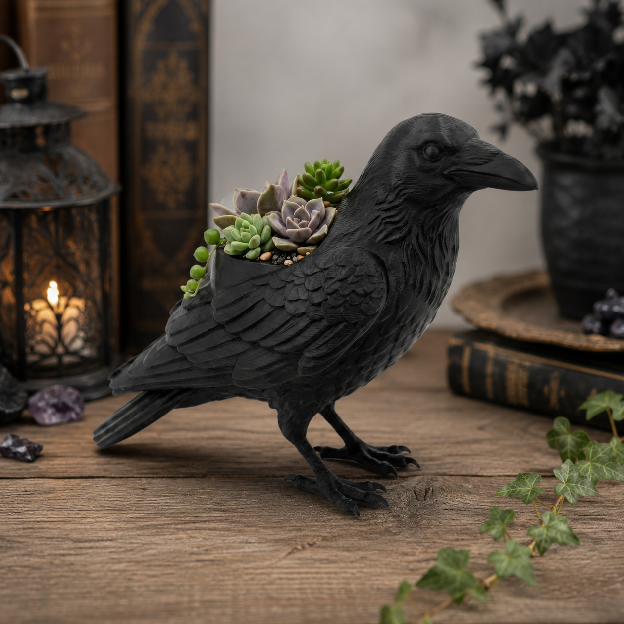 Crow Succulent Pot with succulents
