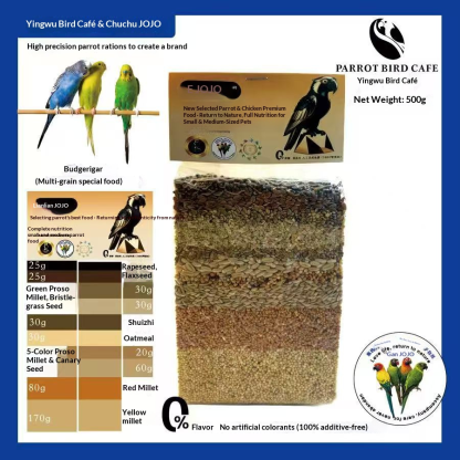 JOJO Parrot Bird Food – Premium Seed Mix (500g)