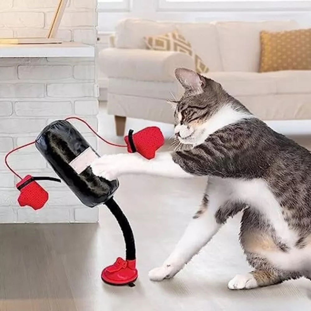 🔥HOT SALE NOW 49% OFF - Yopoll Interactive Cat Punching Bag Toy 🐱🥊