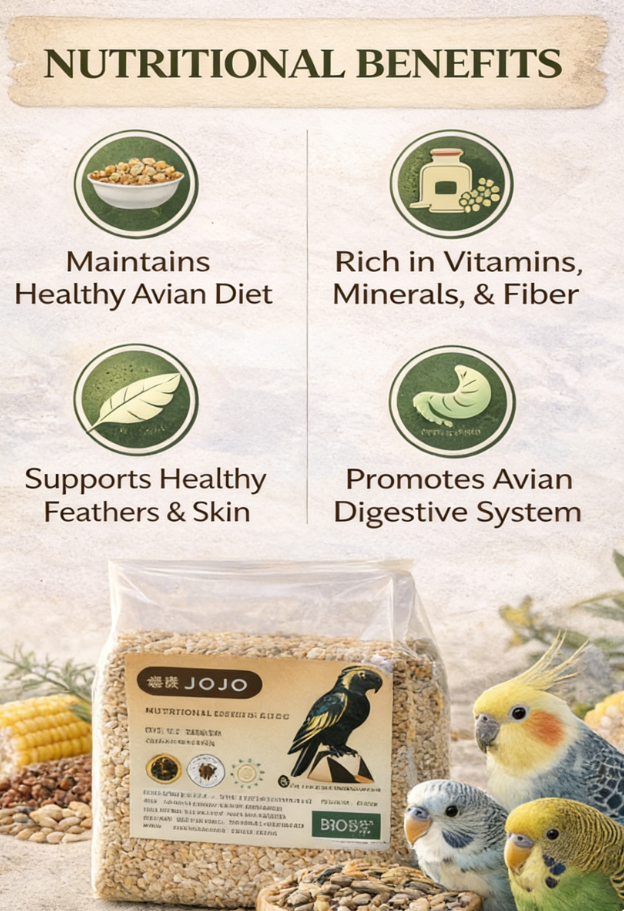 JOJO Parrot Bird Food – Premium Seed Mix (500g)