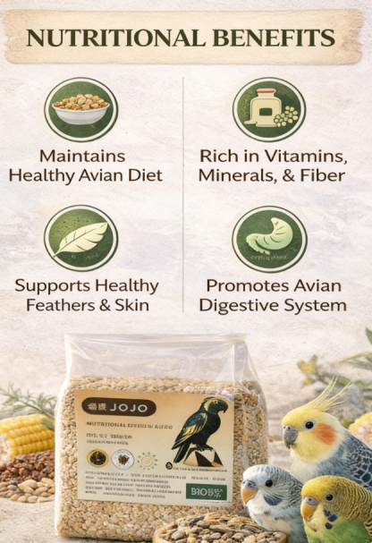 JOJO Parrot Bird Food – Premium Seed Mix (500g)