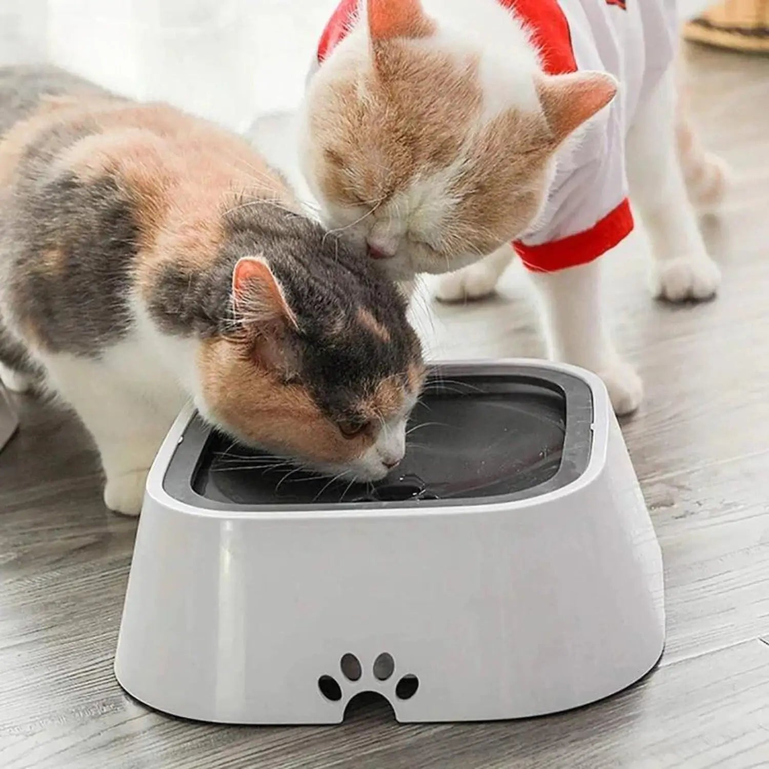🔥This Week's Special Offer - 🐶Els Pet anti-splash water bowl for dogs and cats🐱