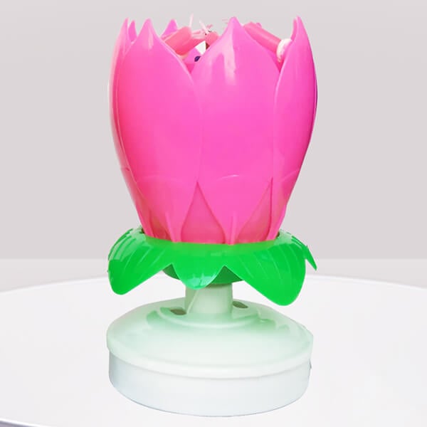 🔥Special Sale -49% OFF - 🎂Magic Flower Birthday Candle🎁