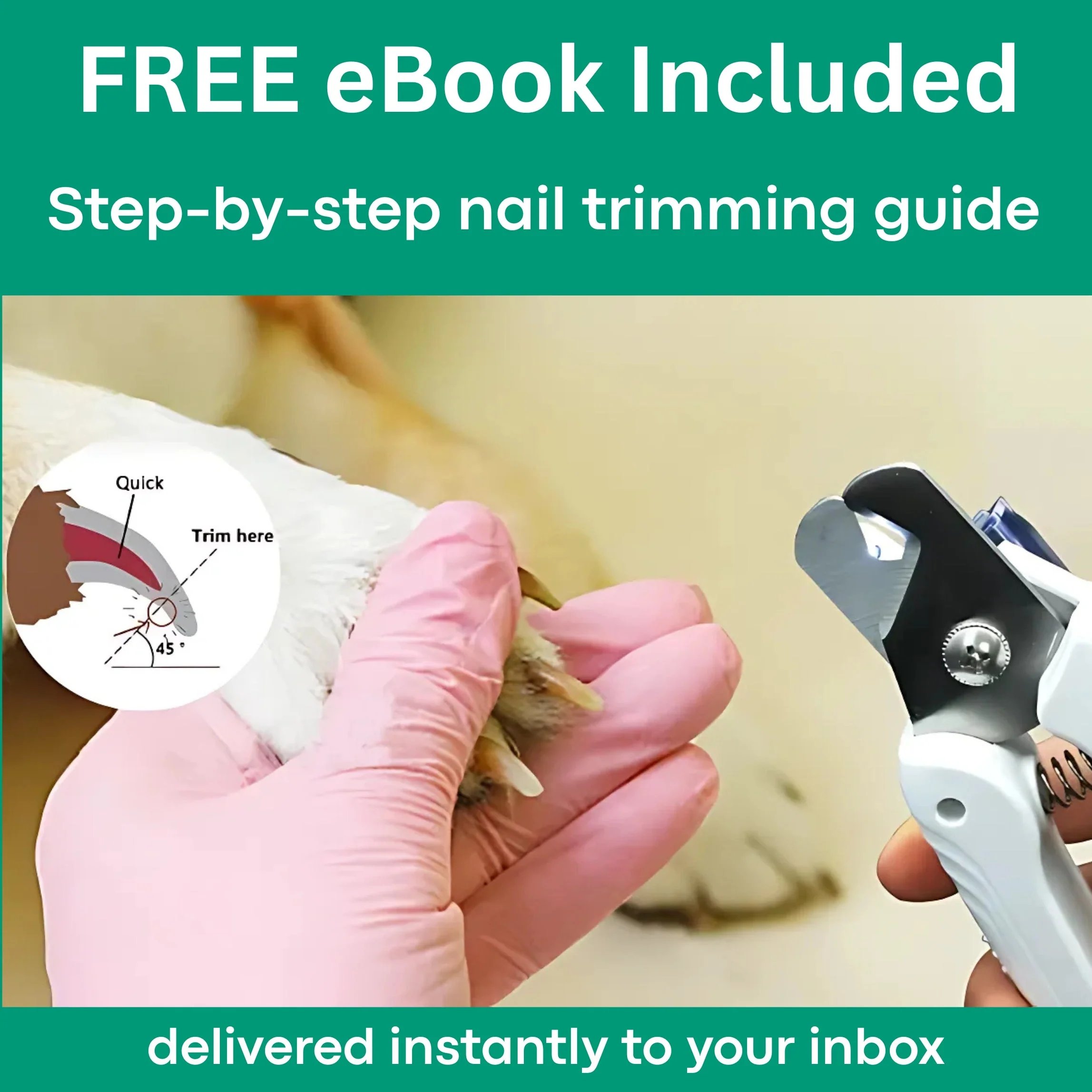 🔥Last Day Promotion 49% OFF🔥 - The PetSafe Nail Clipper