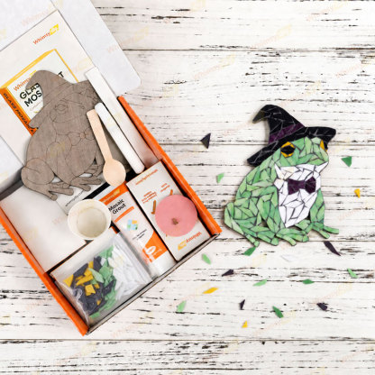 Whimsy DIY Witch Hat Frog Glass Mosaic Kit Puzzles